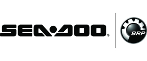 sea-doo rave valves